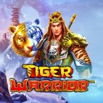 Tiger Warrior: Ksatria Macan Pembawa Keberuntungan!