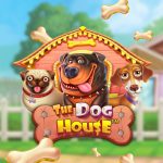 Slot The Dog House